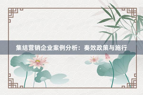 集结营销企业案例分析：奏效政策与施行